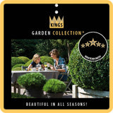 Chamaecyparis pis. 'Filifera Nana'