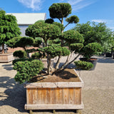 KONIMG:EB3D8D8E7497