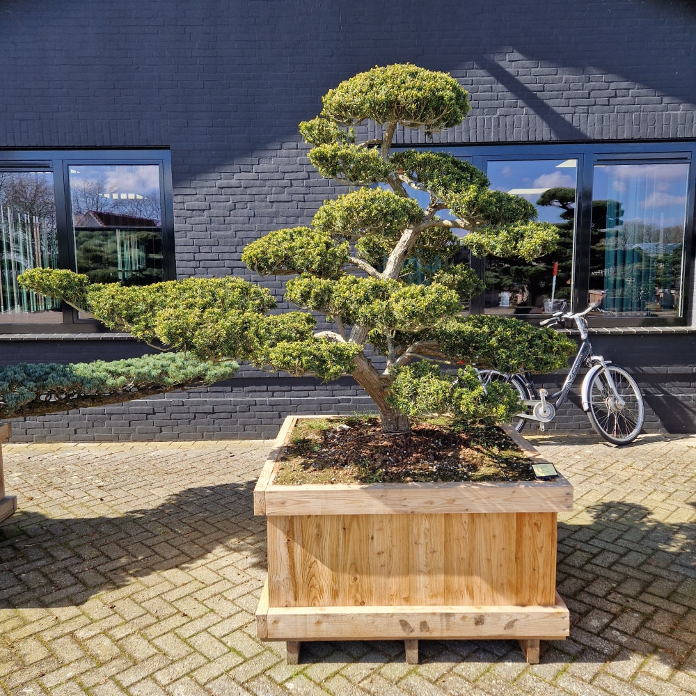 KONIMG:6D278FB5B1B4