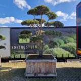 KONIMG:08AAD487B918