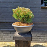 KONIMG:3D8B2D140A64