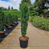 KONIMG:AD6BA88BD1E3