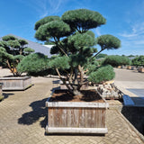 KONIMG:8B9F680A94CB