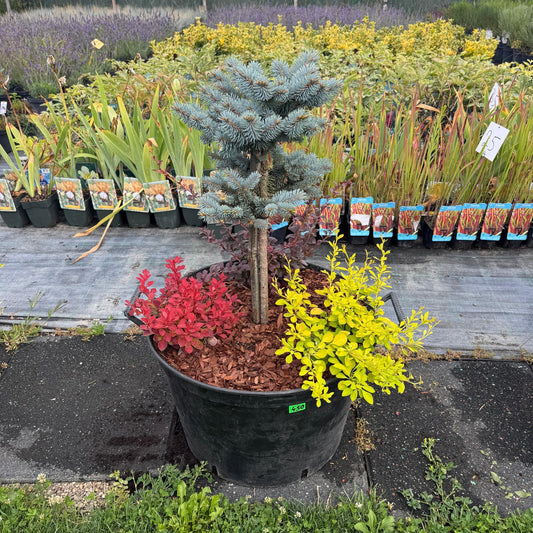 Buchet nr 2