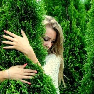 Tuia Lumanare - Thuja occidentalis Smaragd Balot