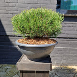 KONIMG:8E9D94F43084