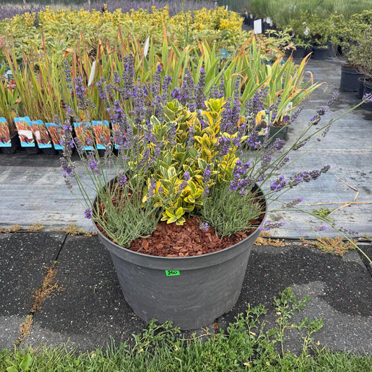Buchet nr 5