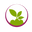 Bursa Plantelor logo